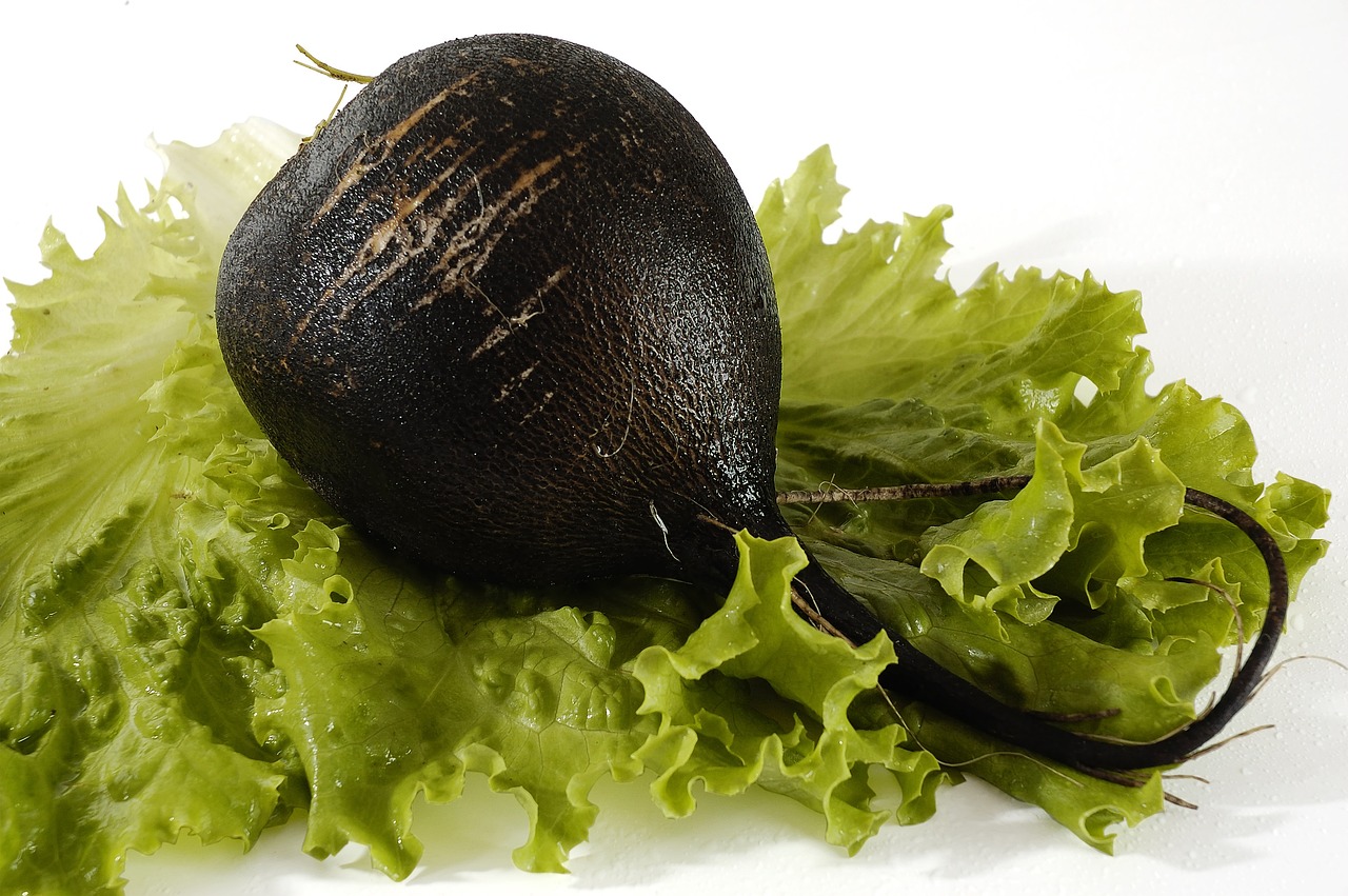 Digital Marketing & Customer Acquisition Strategy