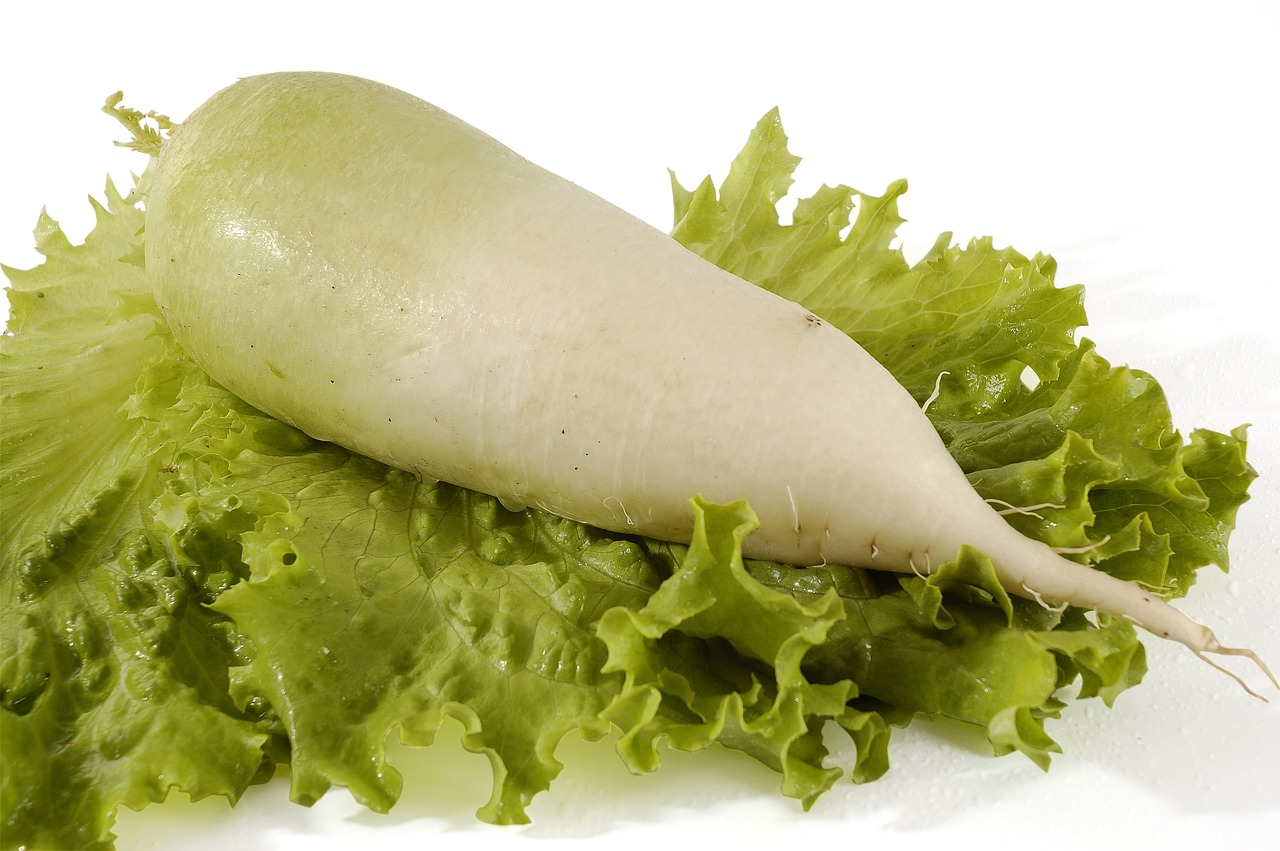 Contact information - agriculture, diet, dish, eat, flora, floral, food, fresh, garden, green, healthful, healthy, leaf, leafy, nature, organic, photosynthesis, plant, salad, vegetable, vegetarian, verdure, vitamin, pepper, color